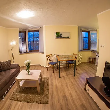 Apartment Starowka