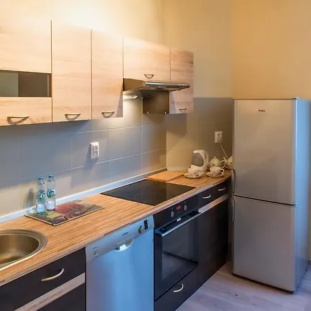 Apartment Starowka